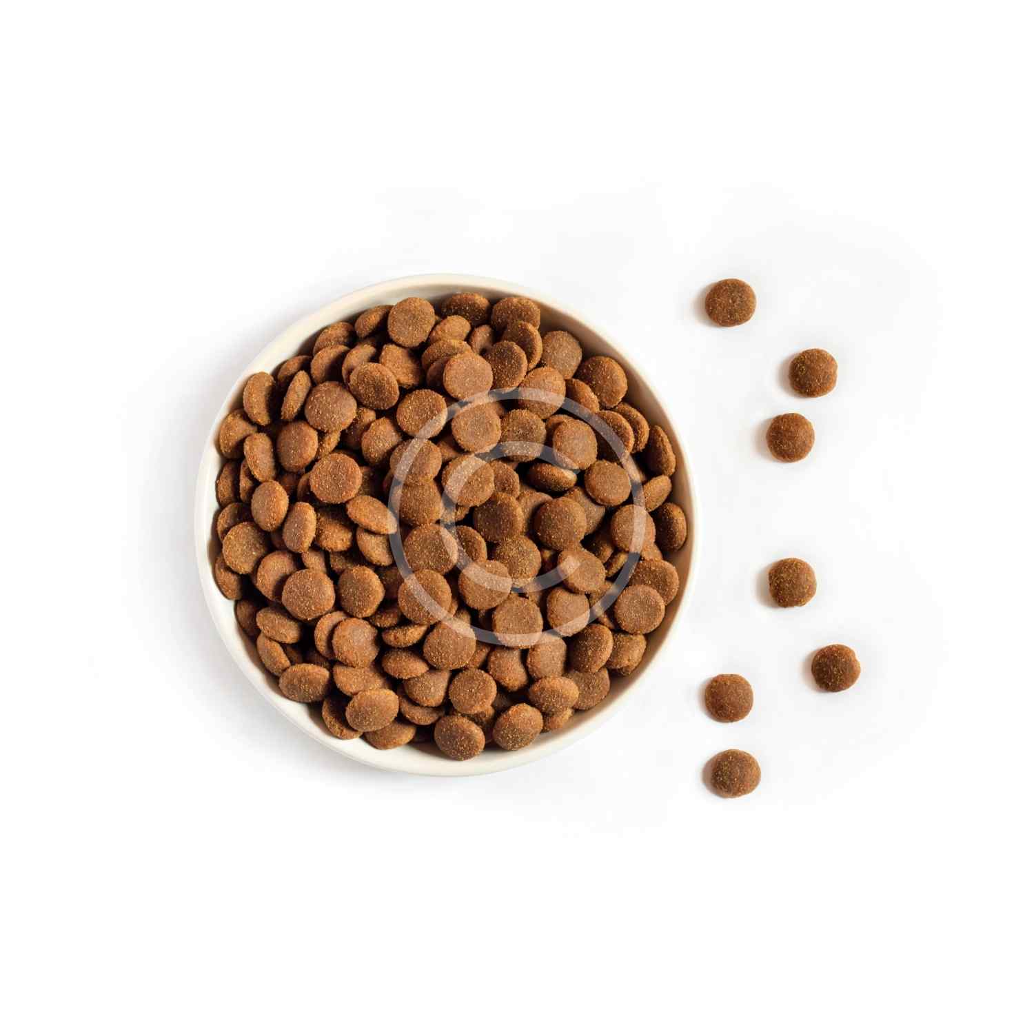 Chewing Bones - Image 3