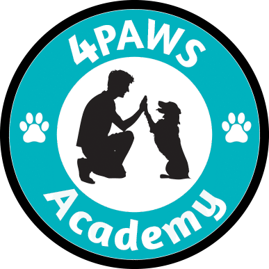 4Paws Academy