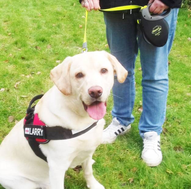 4Paws-Academy-Home-6 4Paws-Academy-Home-6